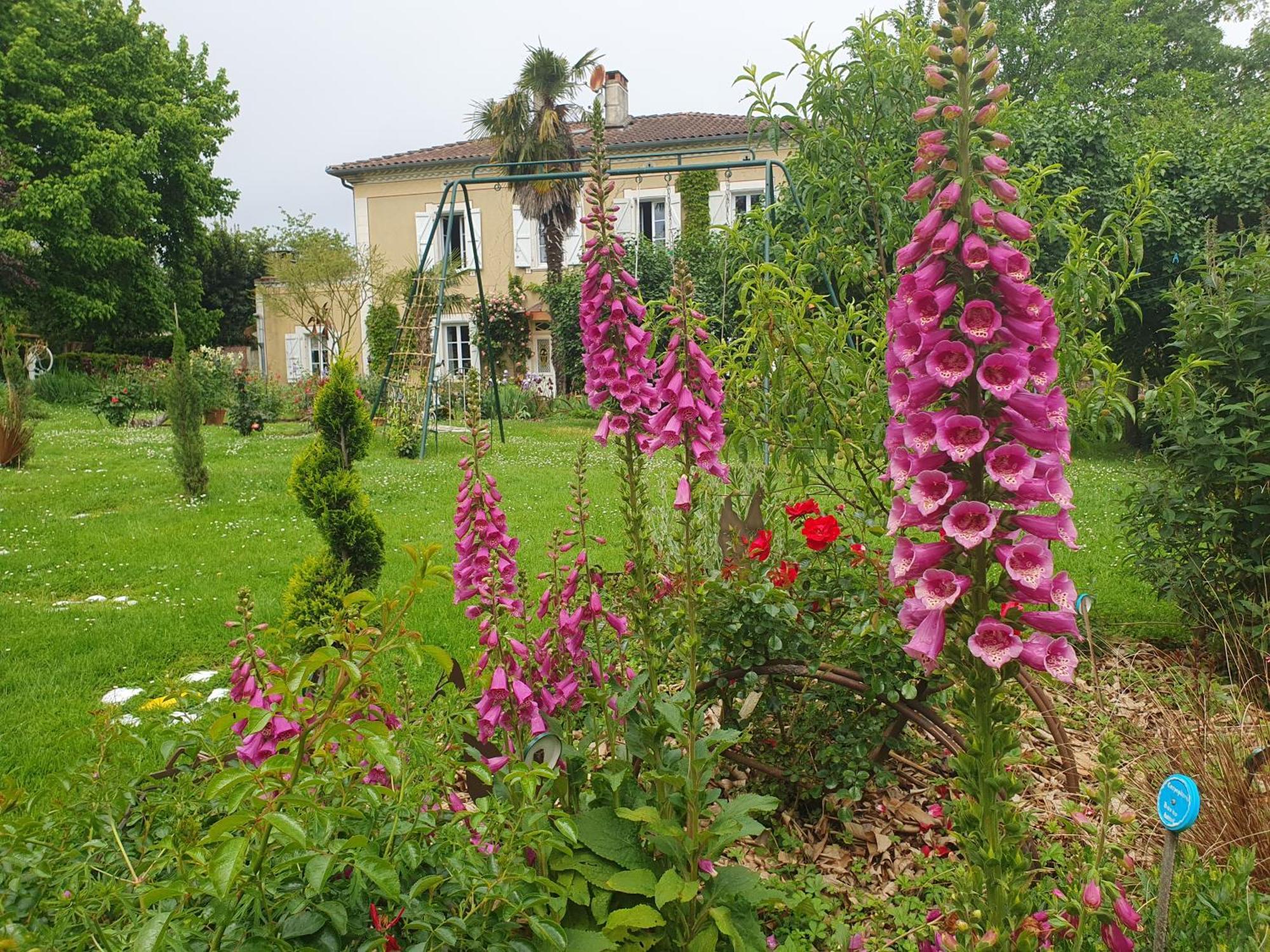Privatunterkunft Pause Campagne - D'hotes Pouy-de-Touges